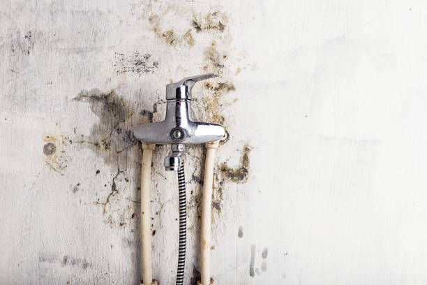 Best Mold Testing  in Pacific City, OR