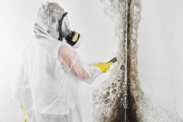 Best Crawl Space Mold Removal  in Pacific City, OR