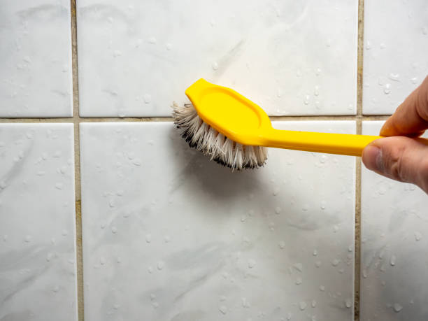 Best Mold Testing  in Pacific City, OR