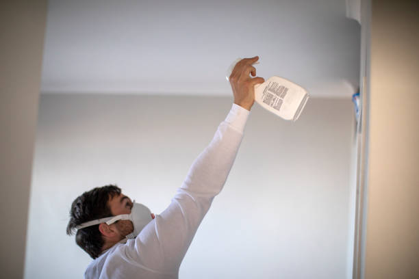 Best Emergency Mold Removal  in Pacific City, OR