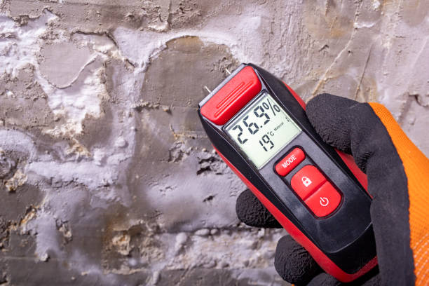 Best Office Mold Removal Services  in Pacific City, OR