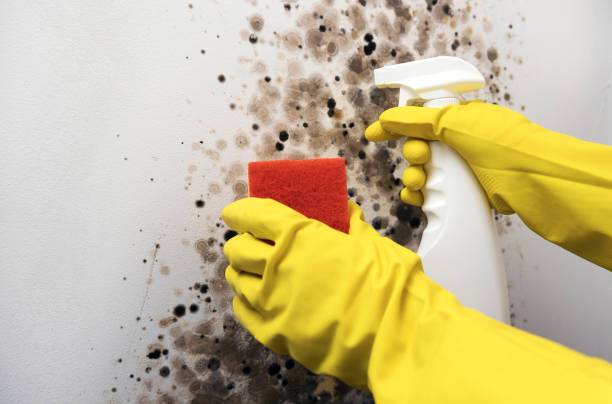 Water Damage Restoration in Pacific City, OR