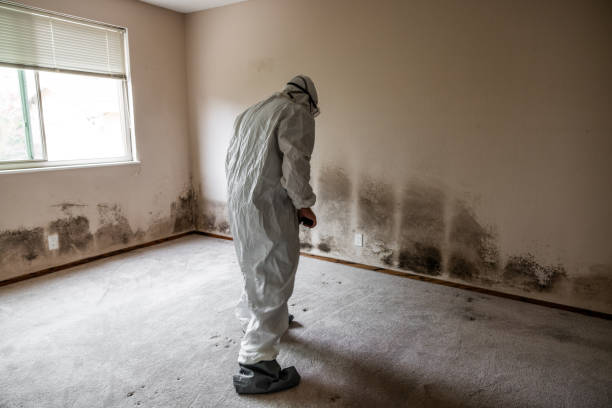 Best Residential Mold Removal  in Pacific City, OR